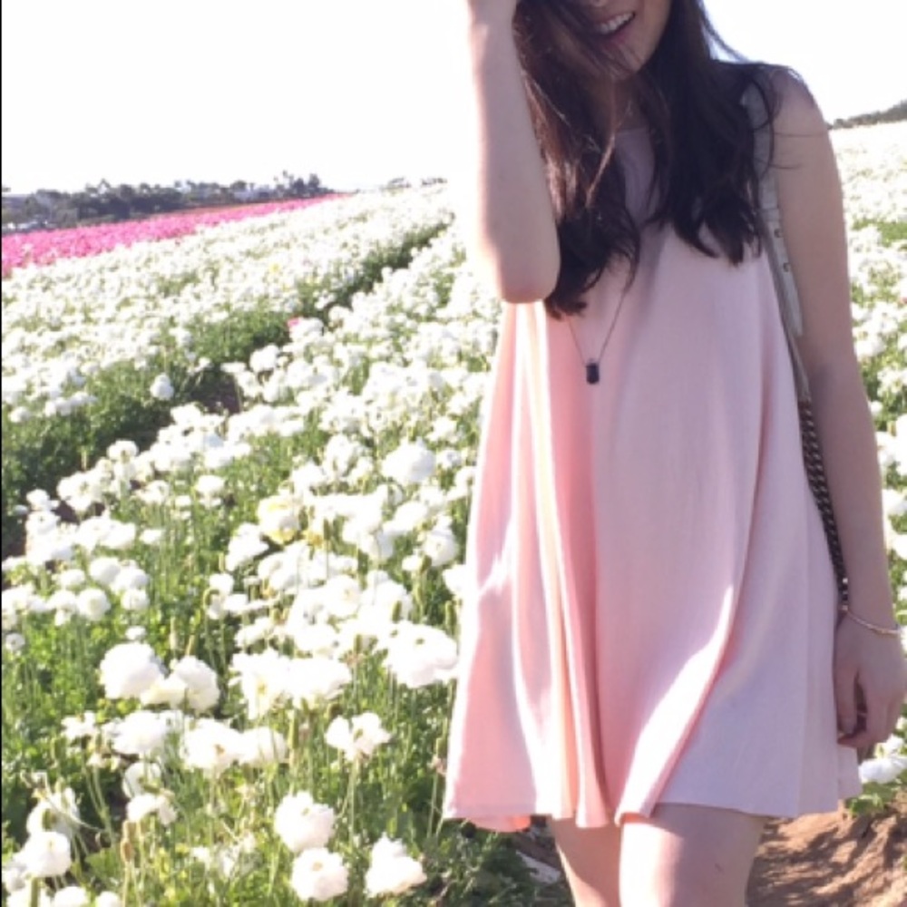 Forever 21 pink skater dress